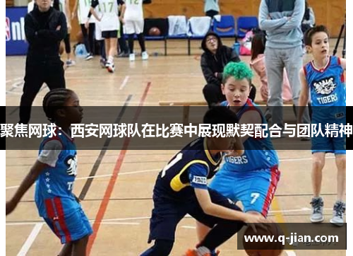 聚焦网球：西安网球队在比赛中展现默契配合与团队精神