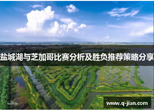 盐城湖与芝加哥比赛分析及胜负推荐策略分享